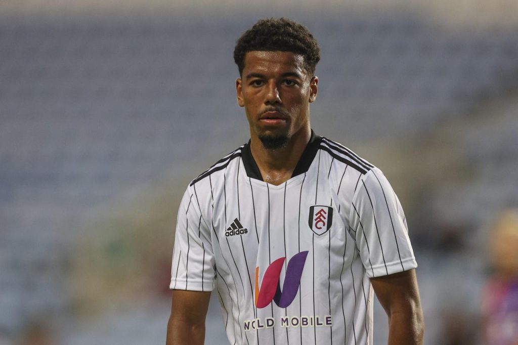 Fulham transfer today