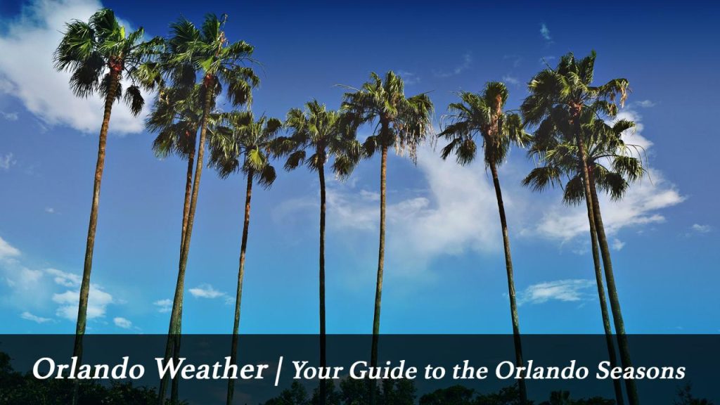 Weather orlando