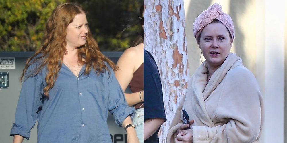 Amy adams nightbitch