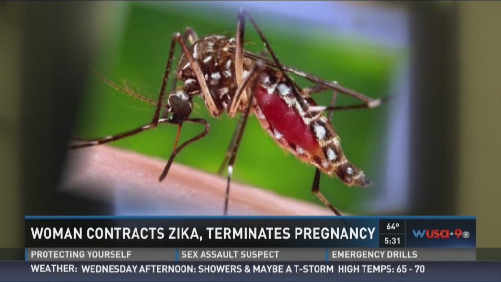 Mosquito virus new england