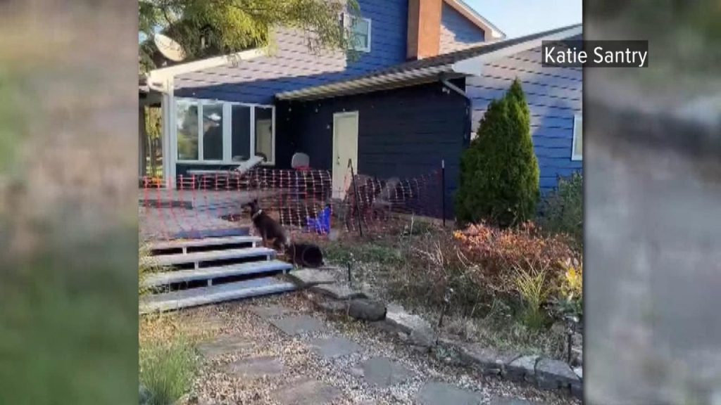 Katie santry Katie Santry